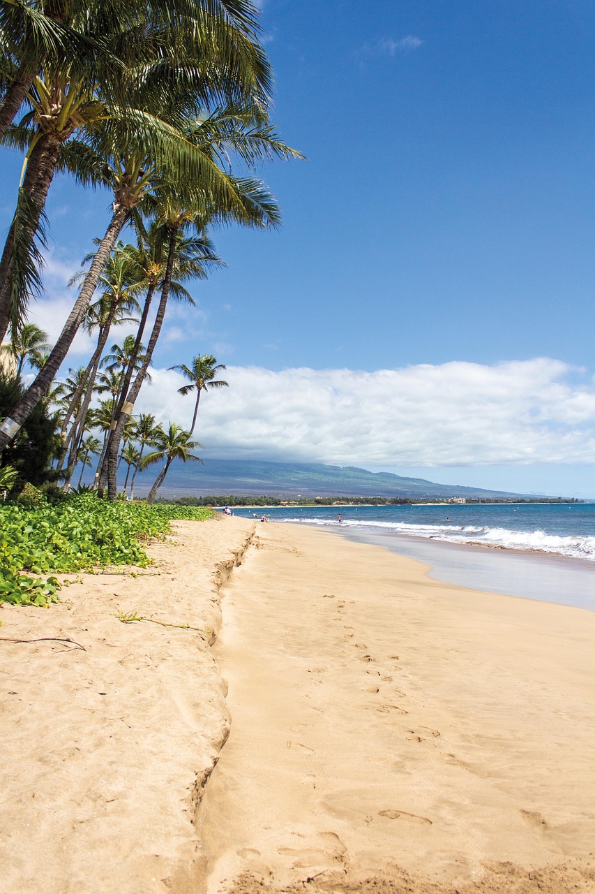 Hawaii Cruises
